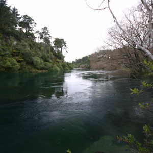 Am Ufer des Waikato River