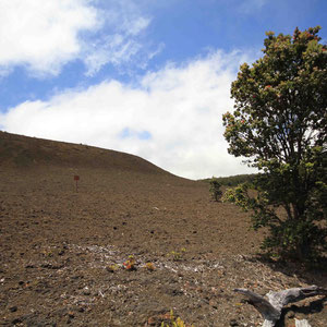 Lavafeld am Kilauea Iki