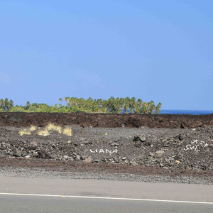 Lavafelder nördlich von Kailua-Kona