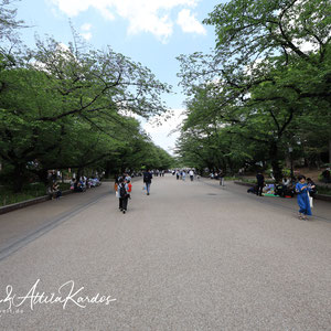 Ueno Park