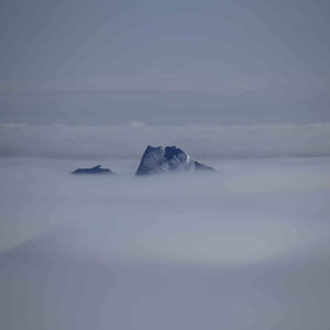 Die großen Eisberge schauen aus dem Nebel