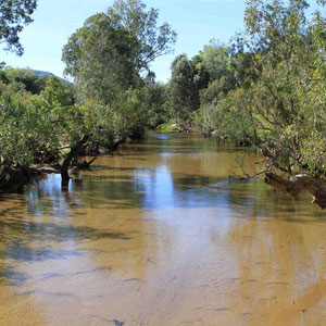 Wasserdurchquerung im Kakadu Nationalpark