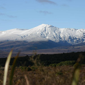 Mount Ruapehu von Westen