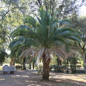 Park der Villa Borghese