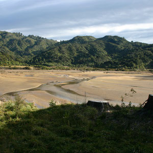 Flutüberlauf bei Totaranui