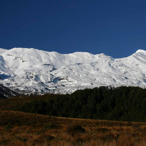 Mount Ruapehu