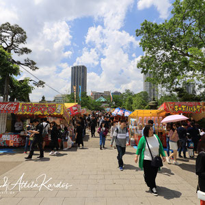 Weg zum Shinobazuonike Bentendo Tempel