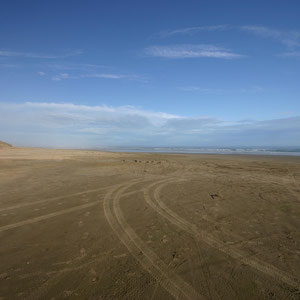 Bayly´s Beach, Neuseeland Nordinsel