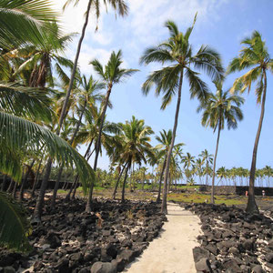 Weg in Puuhonua O Honaunau