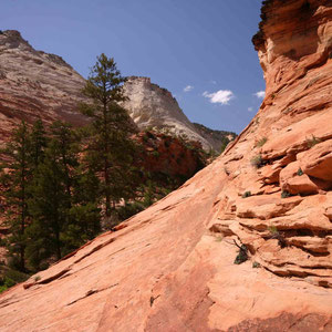 Landschaft auf dem Zion Plateau