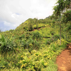 Kalalau Trail