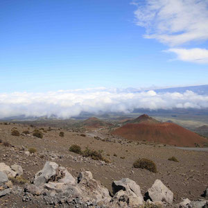 Auffahrt zum Mauna Kea