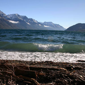 Ufer des Lake Wakatipu
