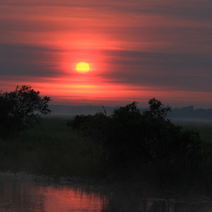 Sonnenaufgang in Yellow Waters