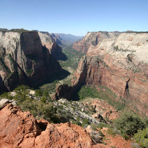 Observation Point, Zion NP, Utah, USA