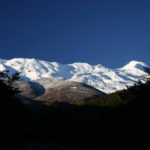 Mount Ruapehu am frühen Morgen