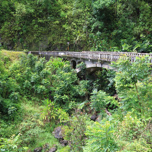 Eine der über 50 Brücken auf der Road to Hana