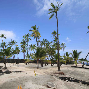 Gelände in Puuhonua O Honaunau