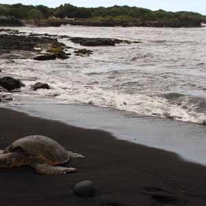 Black Sand Beach, Big Island, Hawaii