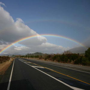 Regenbögen auf dem Weg