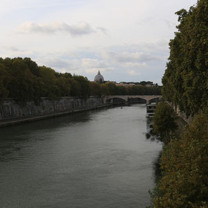 Tiber mit Petersdom