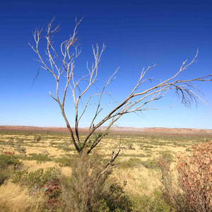 Ausblick in die Pilbara von Mount Bruce