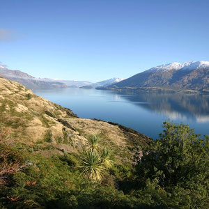 Blick über Lake Wanaka