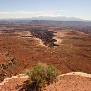 White Rim in den Canyonlands