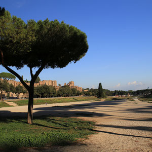 Circus Maximus