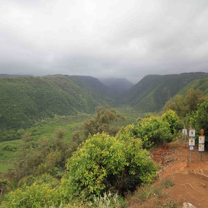 Blick in Valley bei Hawi