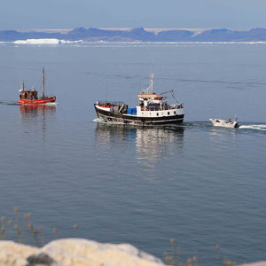 Boote in der Diskobucht