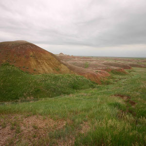 Grüne Wiesen im Badlands Nationalpark