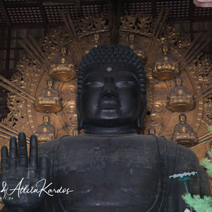 Buddha im Tõdai-ji