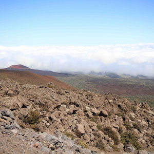 Richtung Mauna Kea