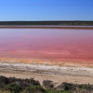 Pink Hutt Lagoon, Westaustralien