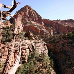 Auf dem Canyon Overlook Trail