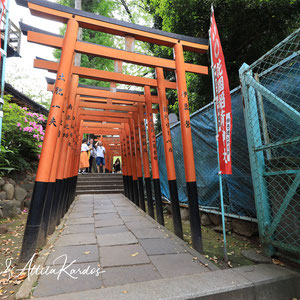 Torii´s am Gojo Tenjin Schrein