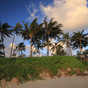 Sonnenaufgang am Kailua Beach