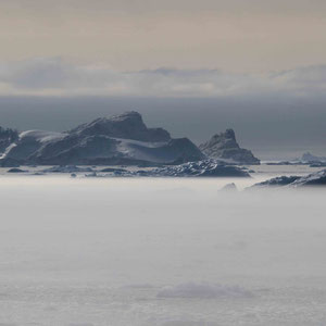 Eisberge in nebliger Stimmung