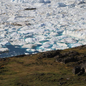 Eis am Ufer des Kangia Fjordes