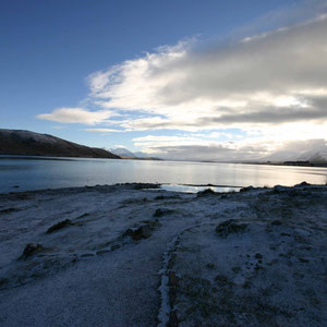 Lake Tekapo am frühen Morgen