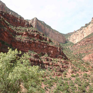 Blick zurück Richtung Grand Canyon Village