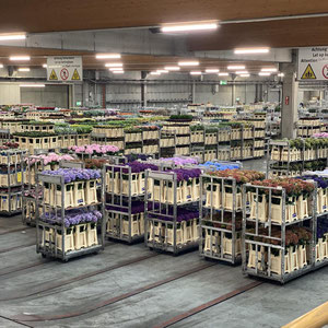 La Bouquetière, fleuriste à Petithan (Durbuy)
