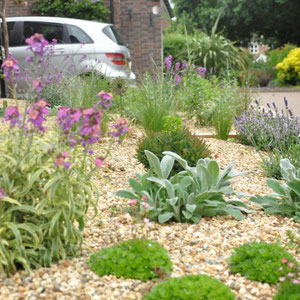 planting 2016