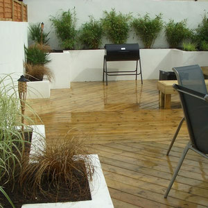 finished and planted