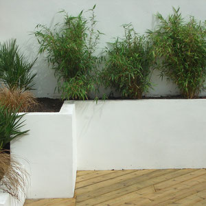 lovely contrast of white rendered wall with the deck