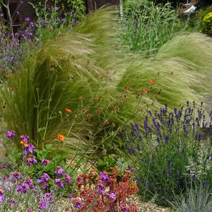 garden in may 2017