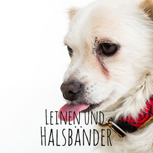 Leinen und Halsbänder