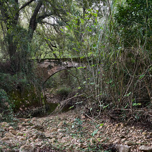 Verwunschene Brücke