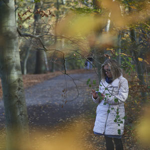 Herbst